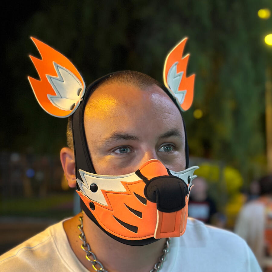 Pup Jaffa